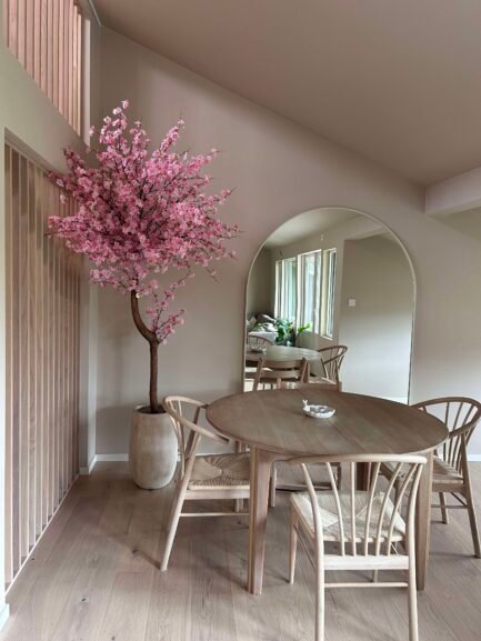 Kirsebærtrær - Sakura