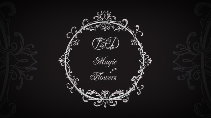 DD magic flowers full logo