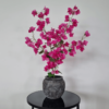 Fuchsia bougainvillea mini tree in a pot
