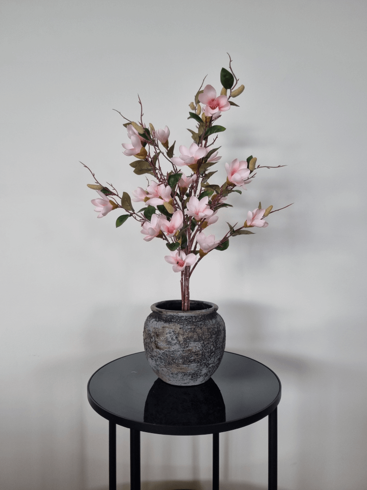 Pink mangolia flower in a pot