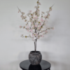 Beige color cherry blossom mini tree