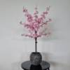 Pink cherry blossom tree in pot
