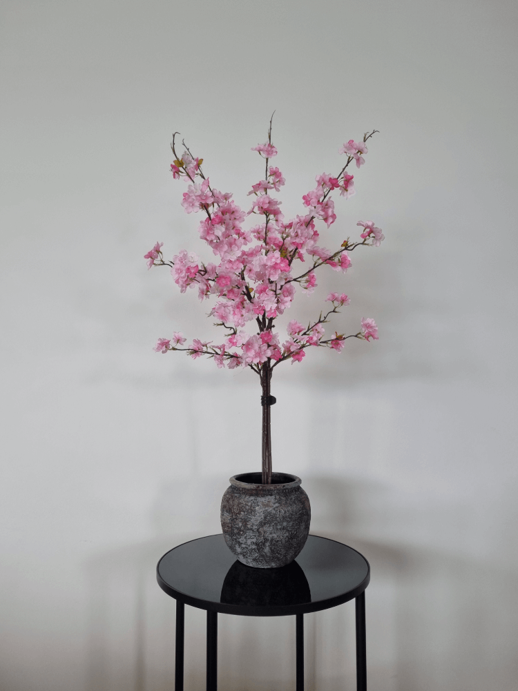 Pink cherry blossom tree in pot