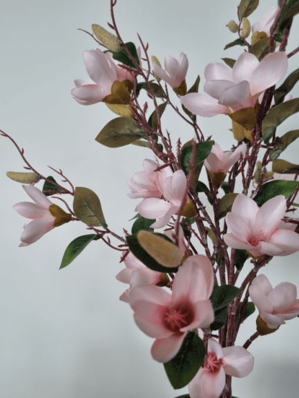 Pink mangolia flower in a pot zoomed image