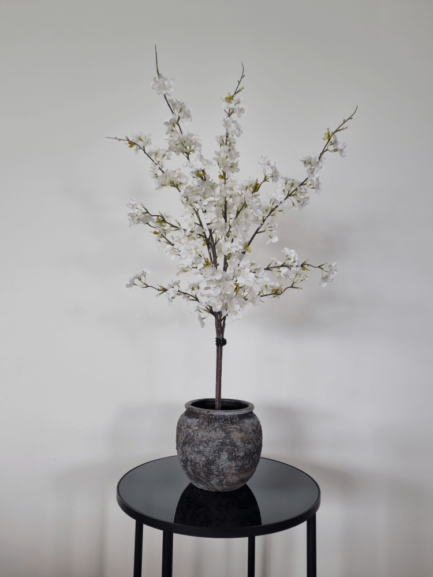 White cherry blossom mini tree