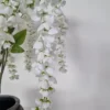 White wisteria one side