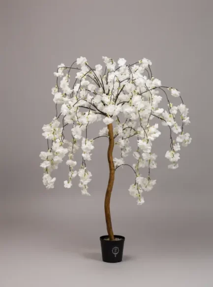 Hanging cherry blossom tree - Bilde 5