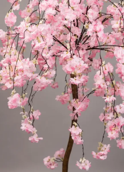 Hanging cherry blossom tree - Bilde 4