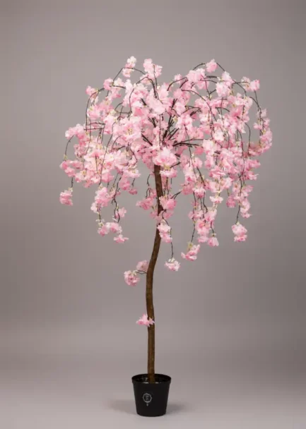 Hanging cherry blossom tree - Bilde 3