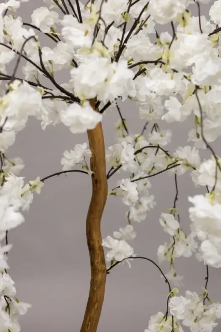 Hanging cherry blossom tree - Bilde 6