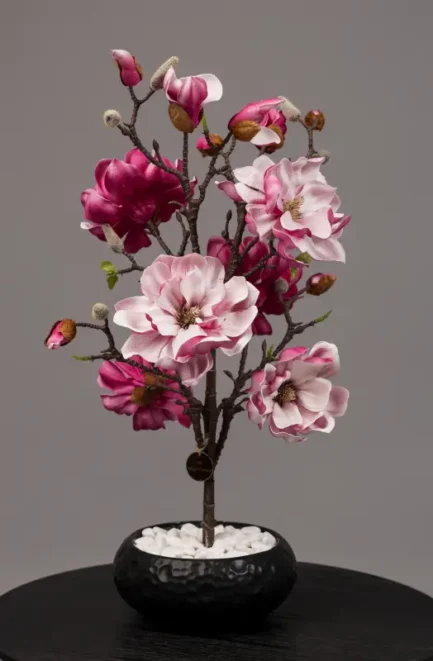 Mini Magnolia - Bilde 2