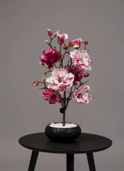 Mini Magnolia