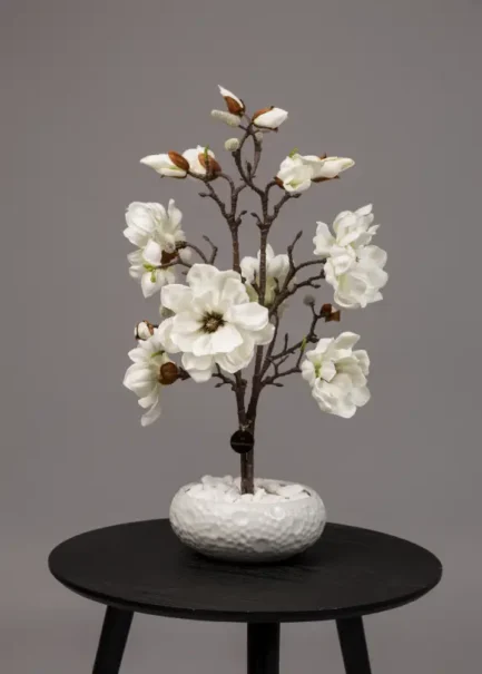Mini Magnolia - Bilde 4