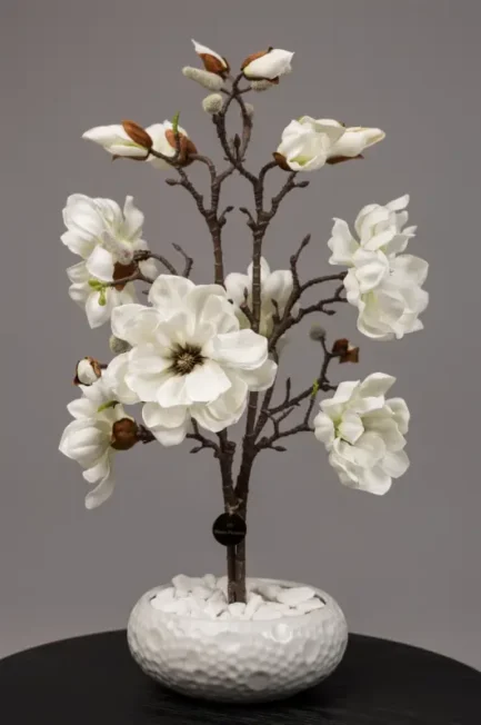 Mini Magnolia - Bilde 5