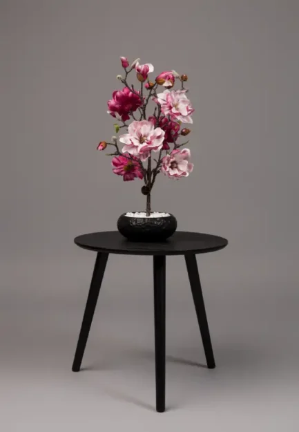 Mini Magnolia - Bilde 3