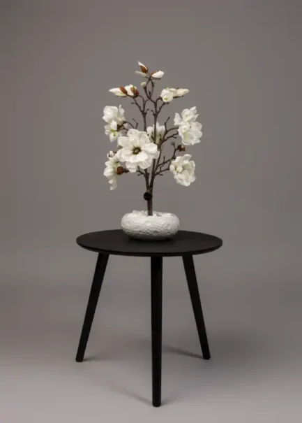 Mini Magnolia - Bilde 6