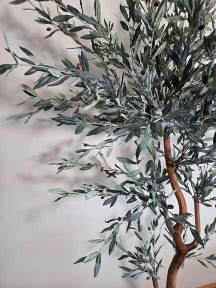 "Olive Tree Lux" - Bilde 2