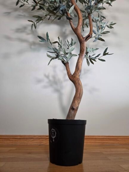 "Olive Tree Lux" - Bilde 3