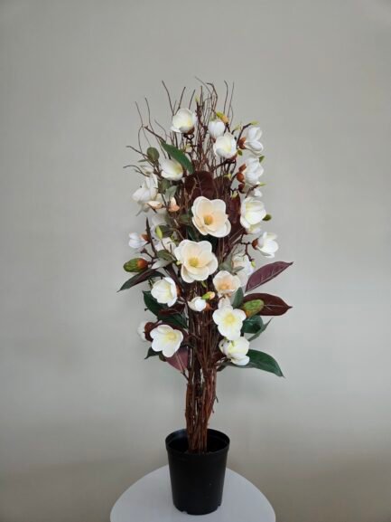 Beige Magnolia