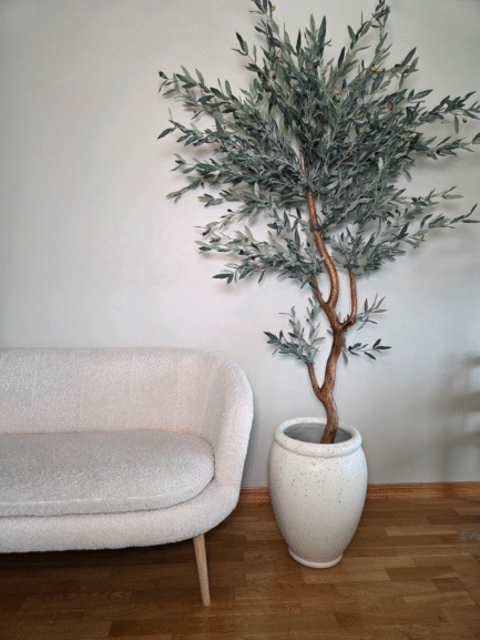 "Olive Tree Lux"
