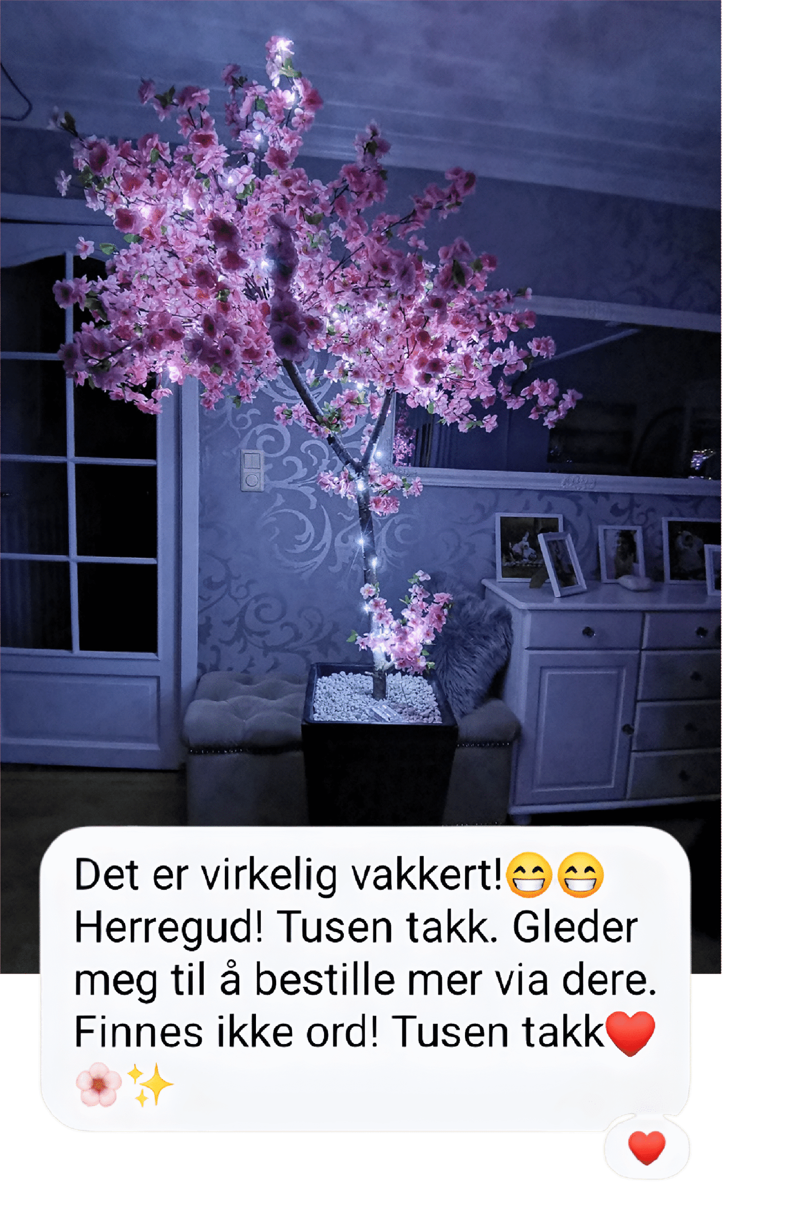 Reviews (1)