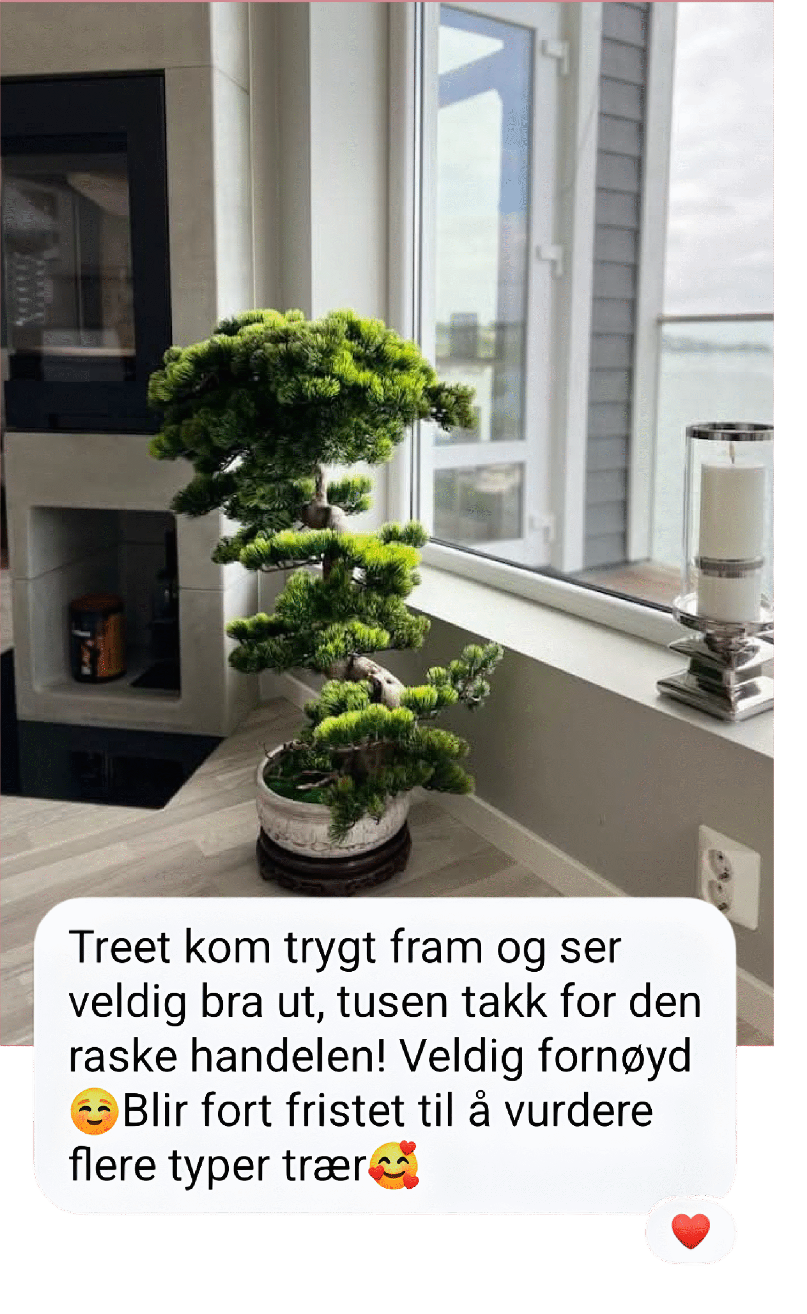 Reviews (13)