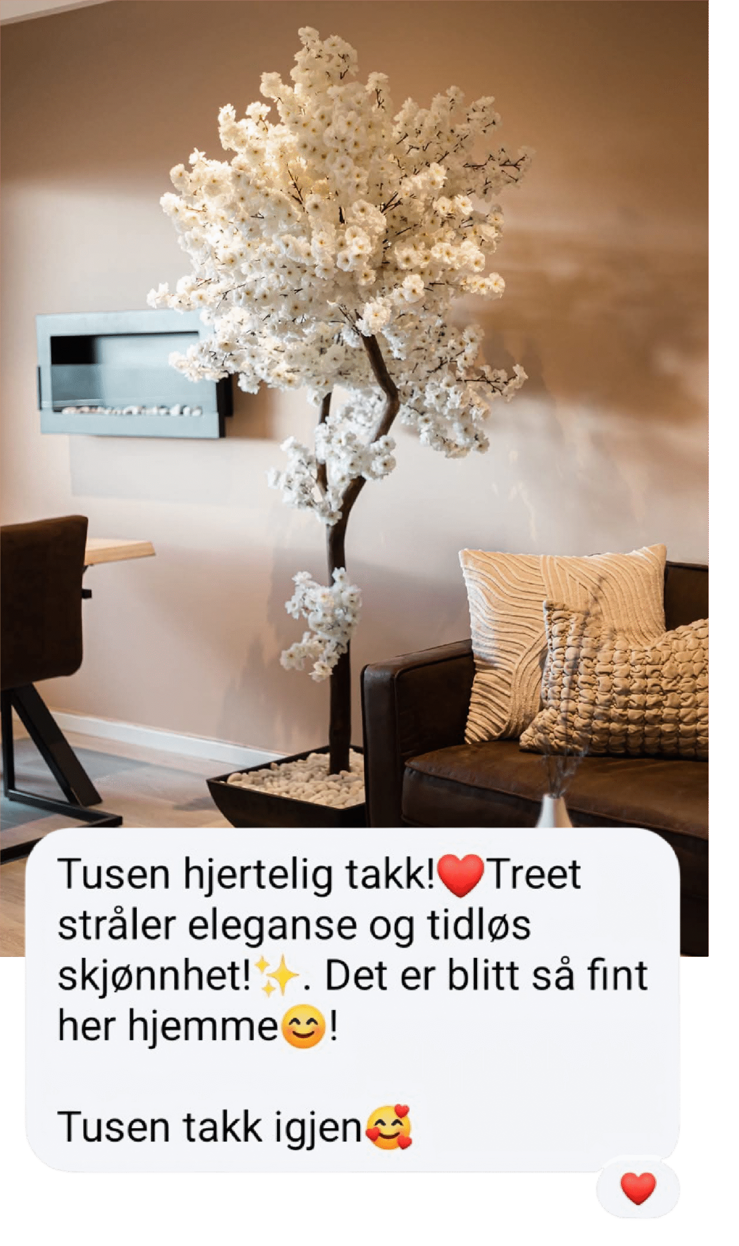 Reviews (2)