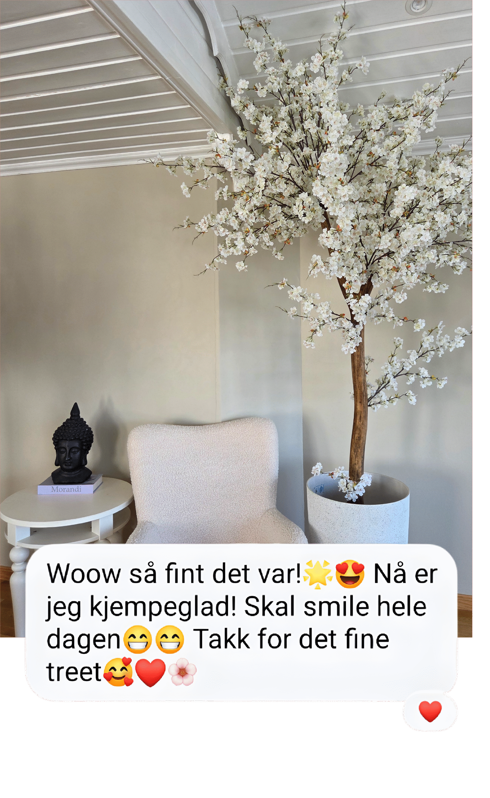 Reviews (6)