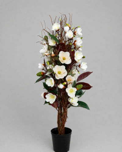 Beige Magnolia