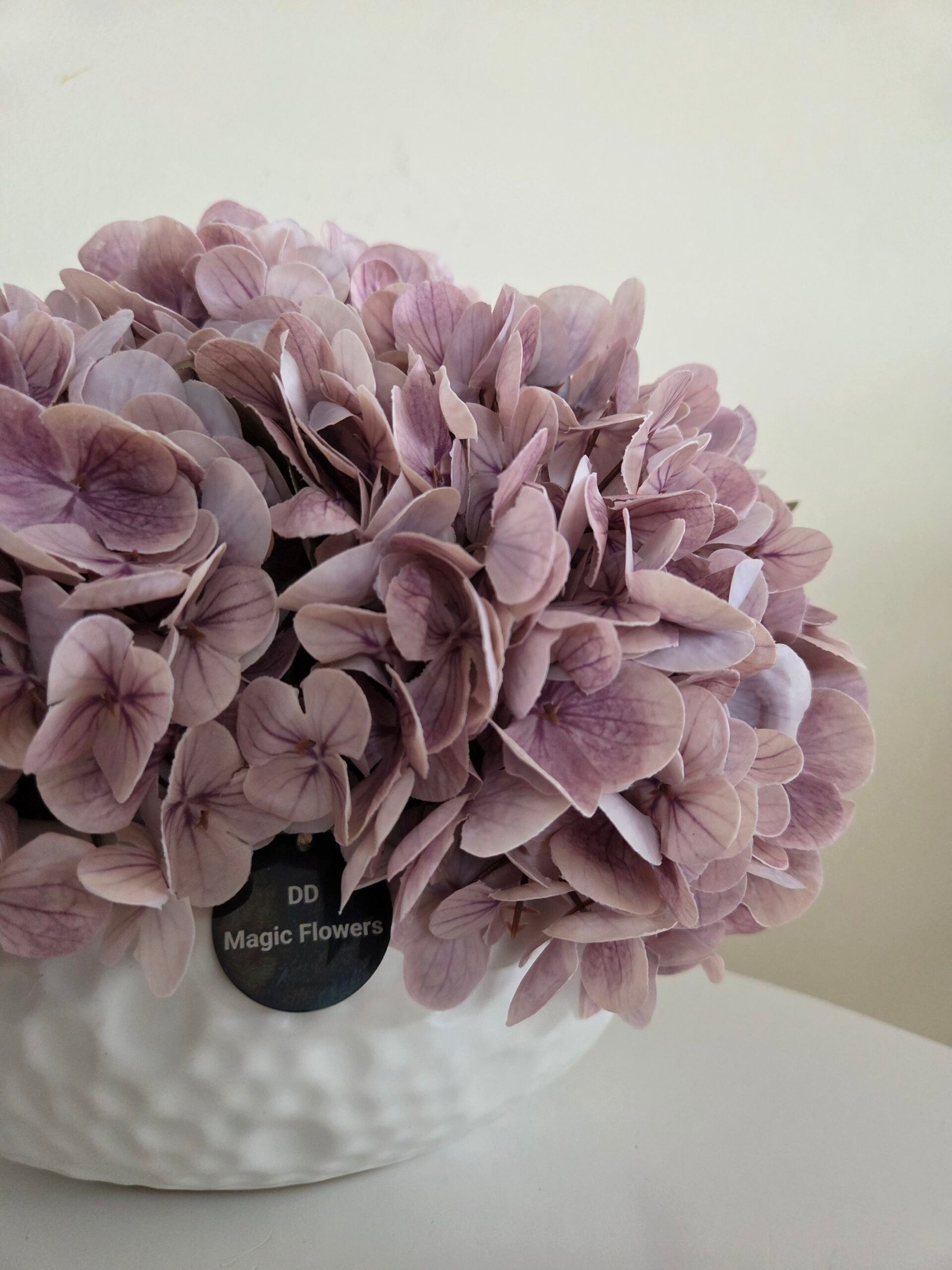 Purple dream - Image 2