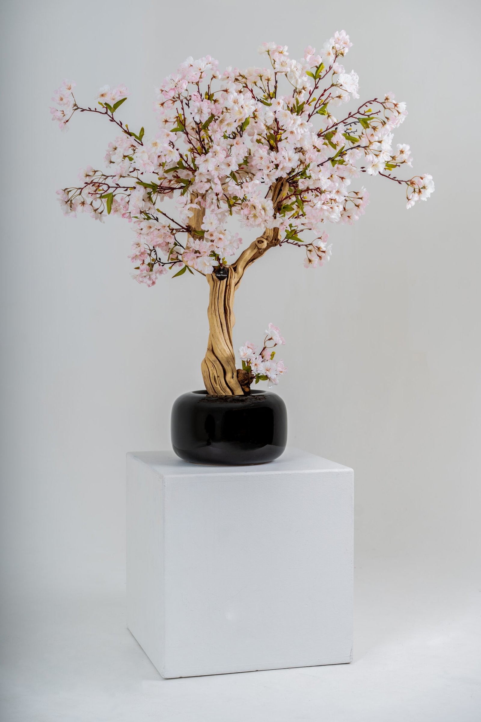 "Pastel muse" - Image 4