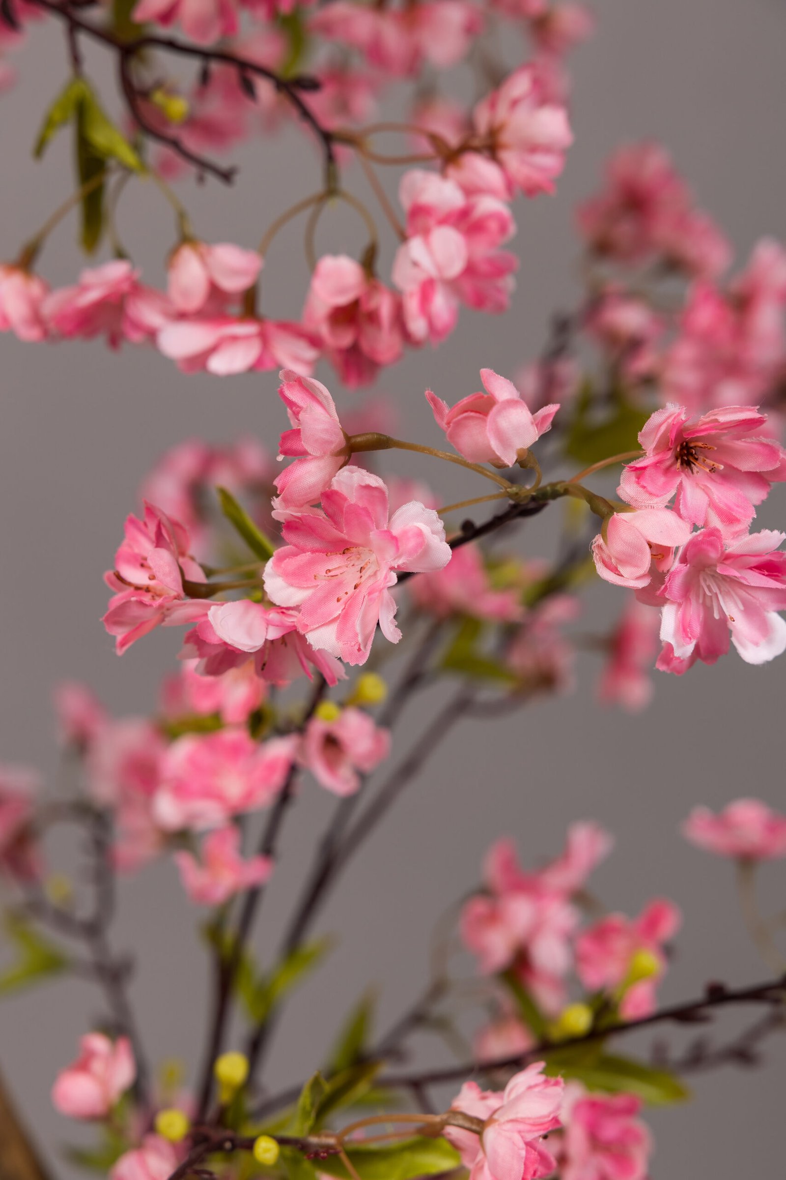 "Pastel muse" - Image 6