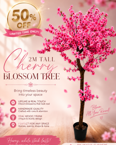 Pink Cherry Bloom
